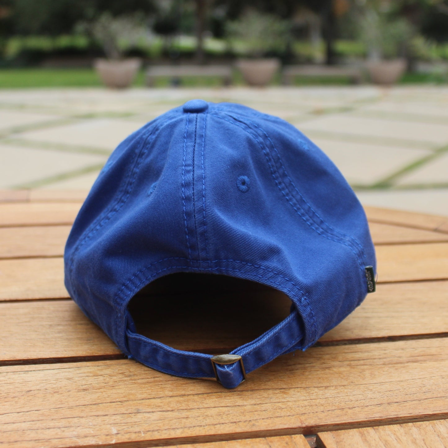 Pomona Pitzer Athletic Cap