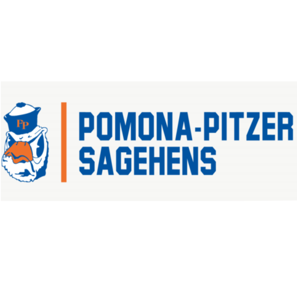 P-P Sagehens Visor