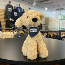 Load image into Gallery viewer, Mighty Tikes Bandana Dog