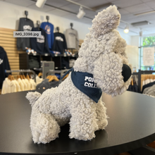 Load image into Gallery viewer, Mighty Tikes Bandana Dog