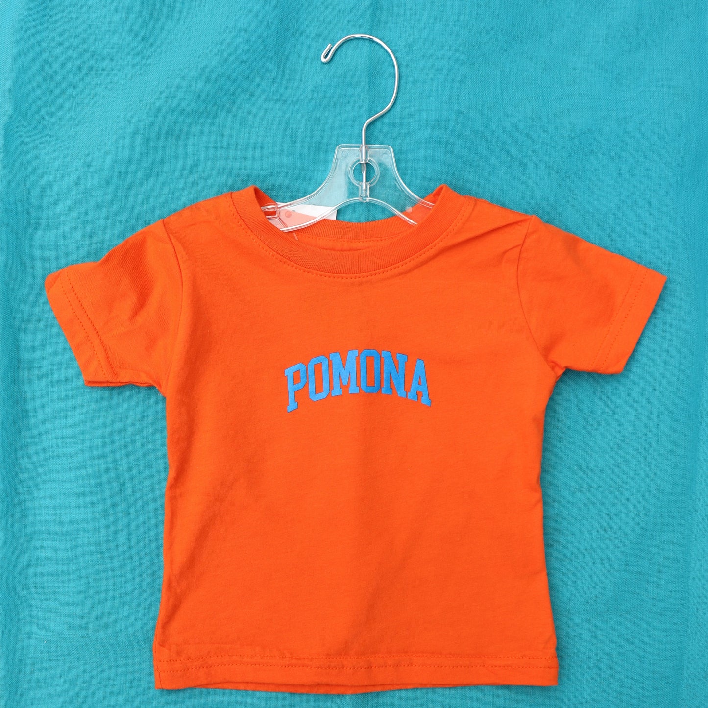 Youth Pomona College Sagehen T