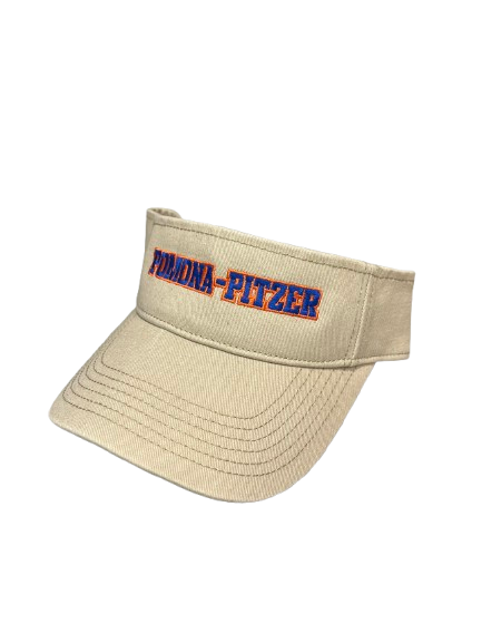P-P Visor