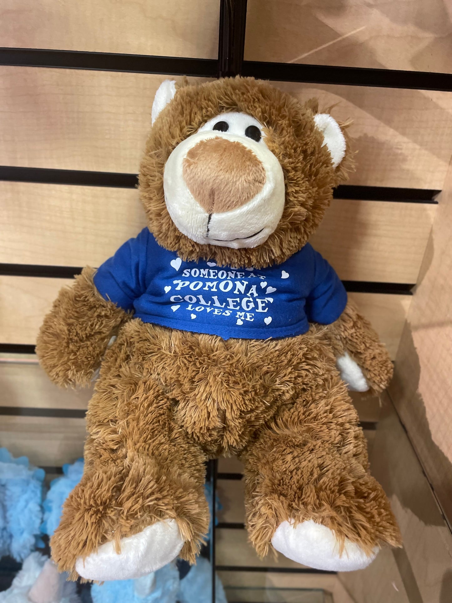 Cuddle Buddies Collection