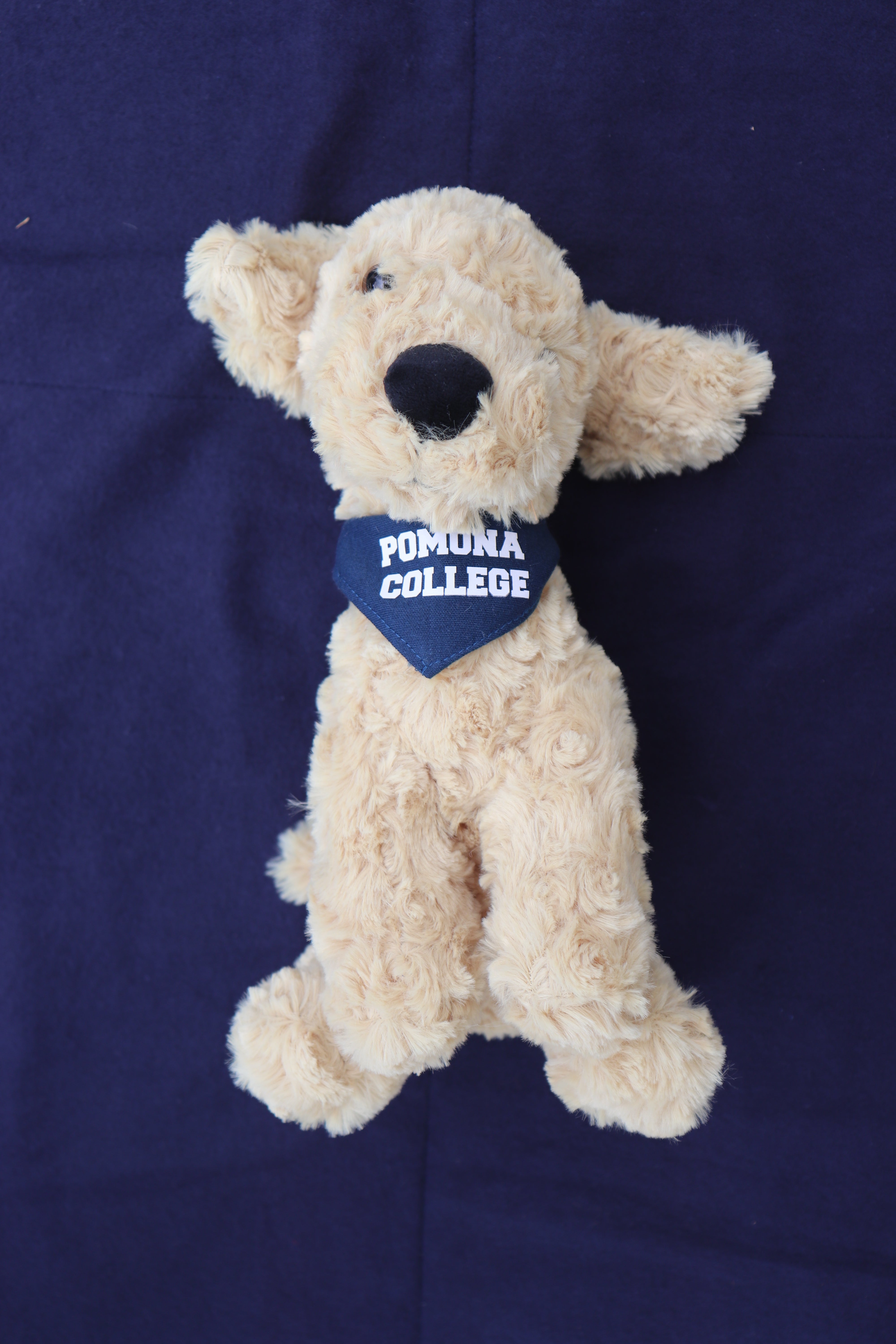 Mighty Tykes Bandana – ASPC Coop Store
