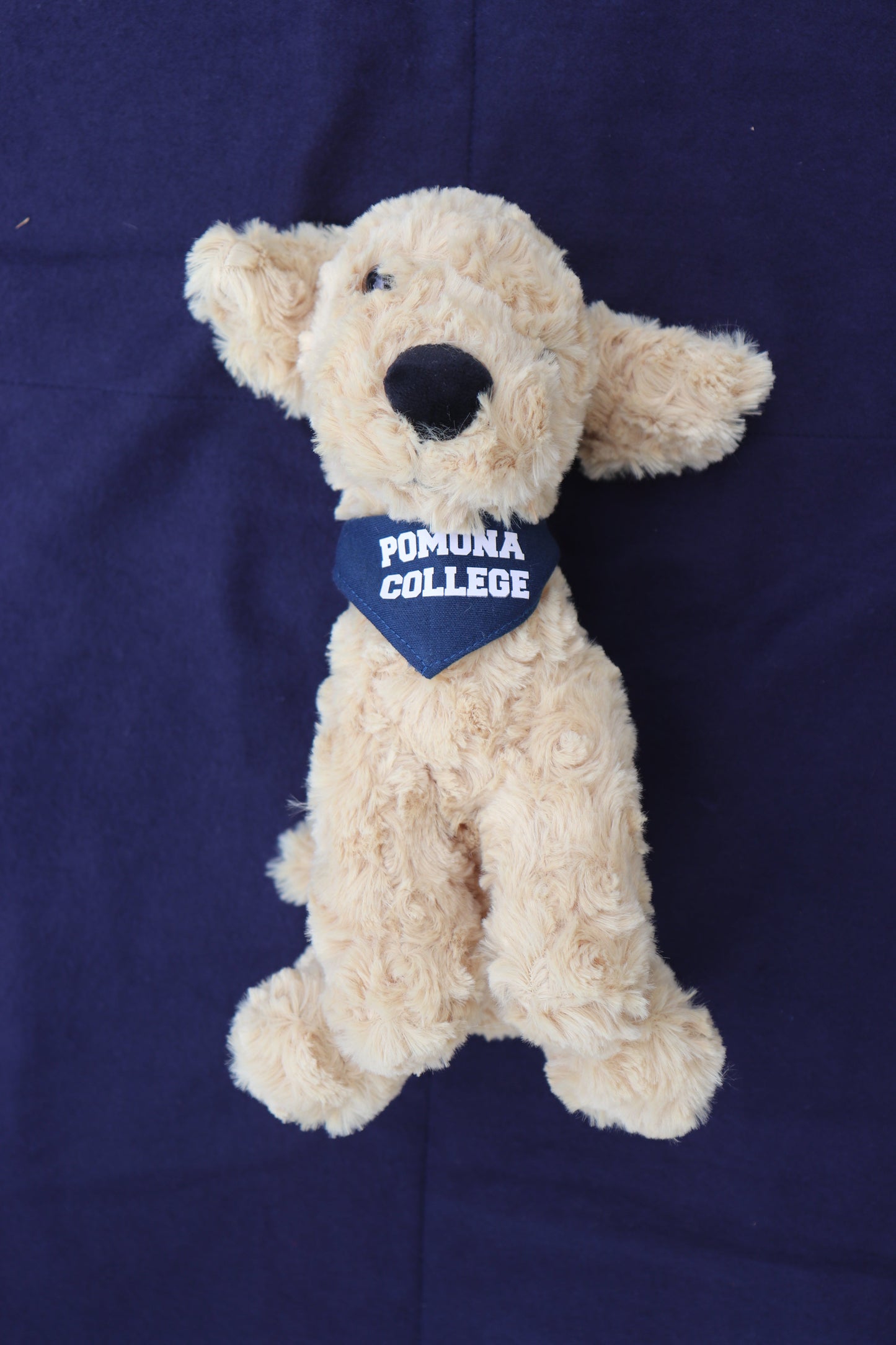 Mighty Tykes Bandana