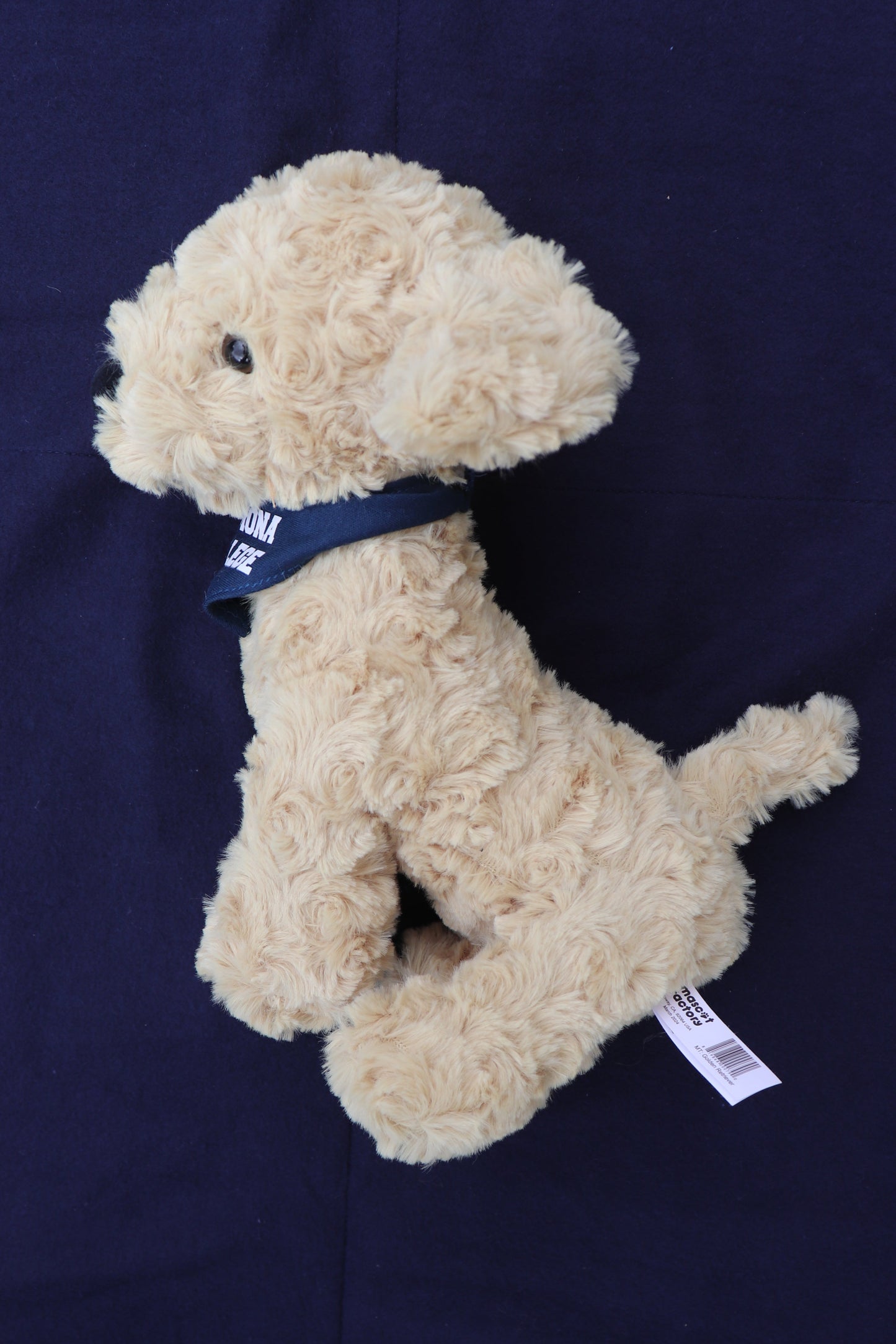 Mighty Tykes Bandana