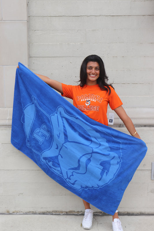 Beach Towel