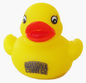 Rubber Ducky