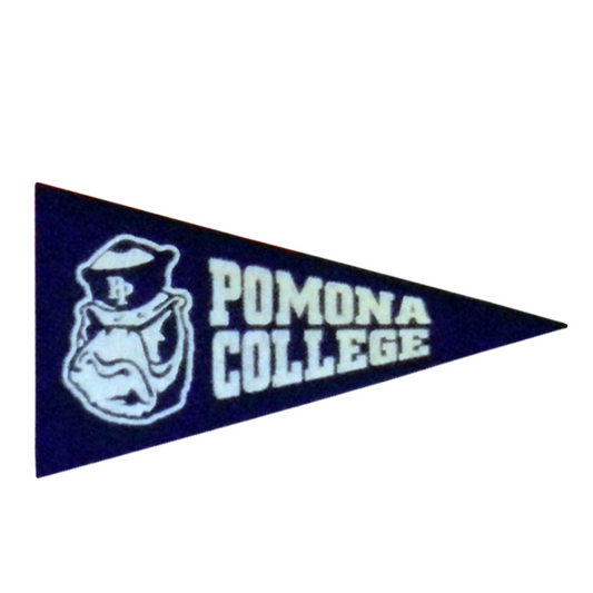 Mini Magnetic Pennant
