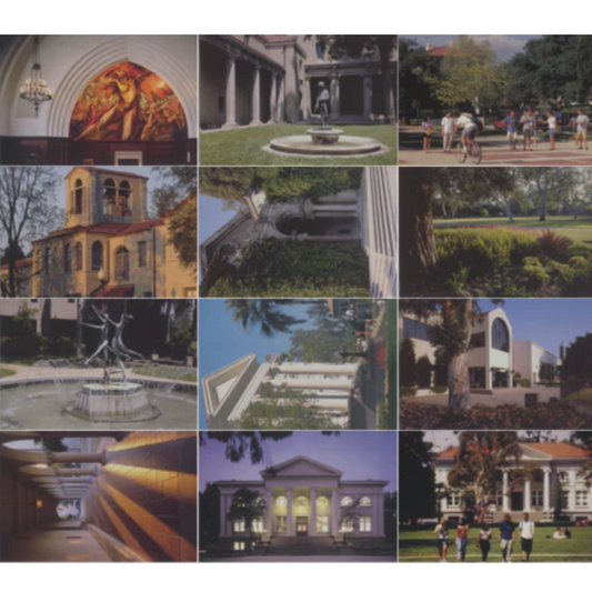 Small Postcard (Individual)