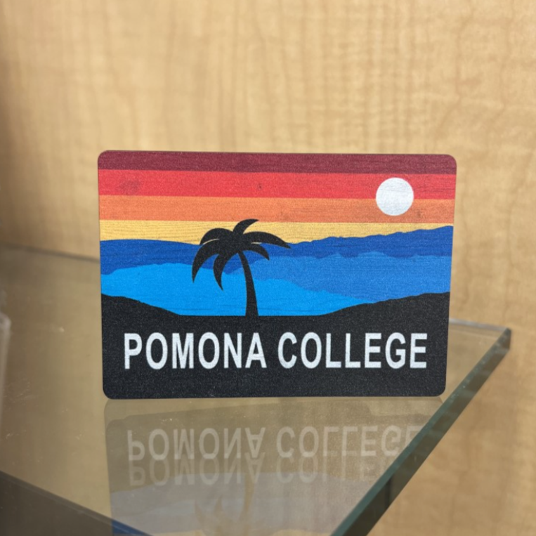 Rainbow Wood Magnet