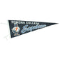30" Proud Cecil Sagehens Pennant